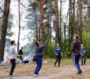 ліс 2